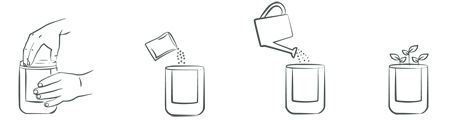 Instructions Bottle Garden