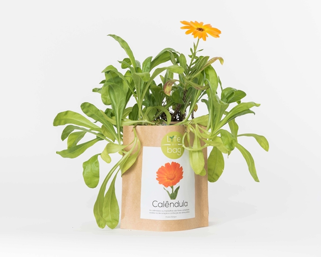 Grow your own calendula  in this bag