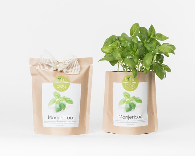 Grow your own basil in this bag