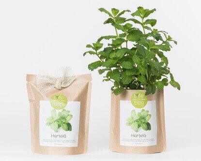 Grow your own peppermint in this bag