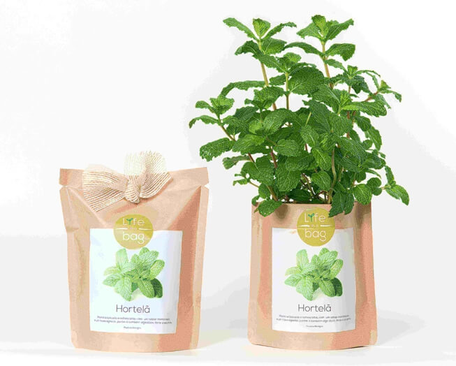 Grow your own peppermint in this bag