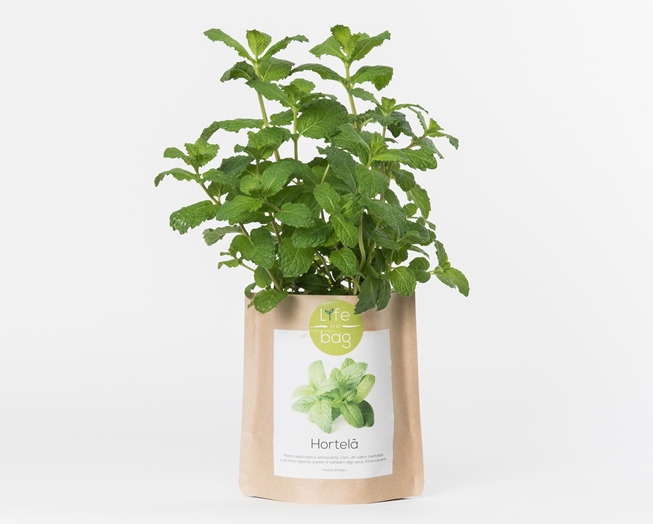 Grow your own peppermint in this bag