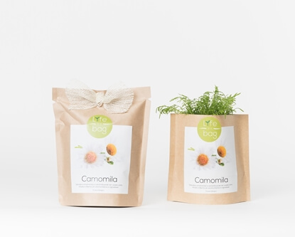 Grow your own chamomile in this bag