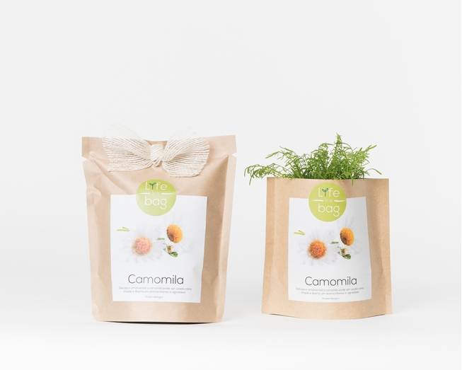 Grow your own chamomile in this bag