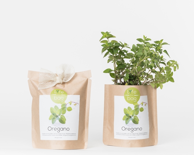 Grow your own oreganos in this bag