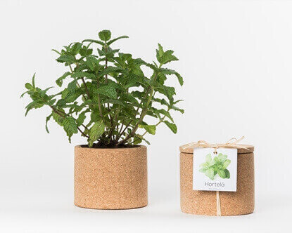Grow your peppermint in this cork pot