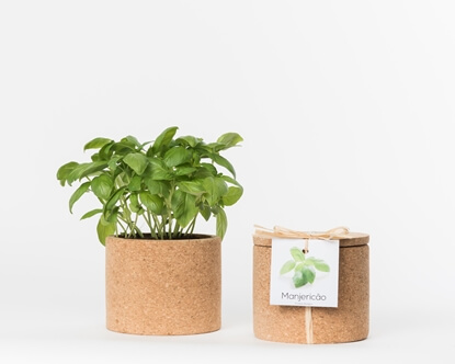Grow your basil in this cork pot