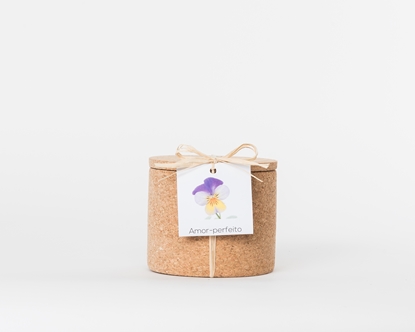 Grow your viola tricolor in this cork pot