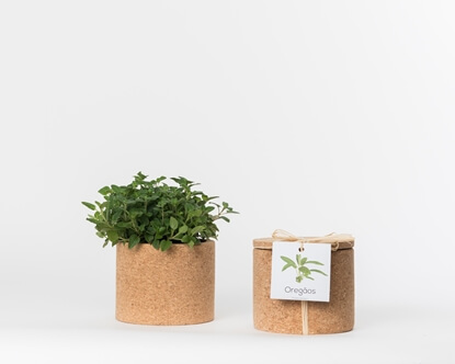 Grow your oregano in this cork pot