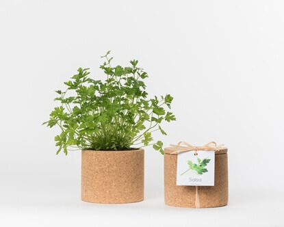 Grow your parsley in this cork pot