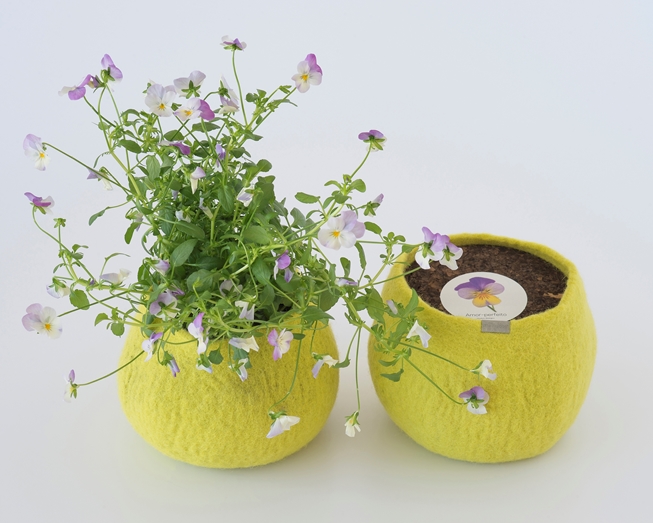 Um pote 100% lã para cultivar amores perfeitos