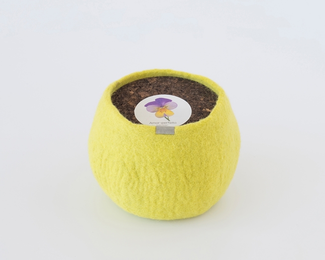 Um pote 100% lã para cultivar amores perfeitos