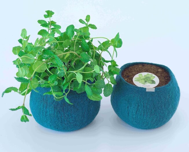 Um pote 100% lã para cultivar hortelã