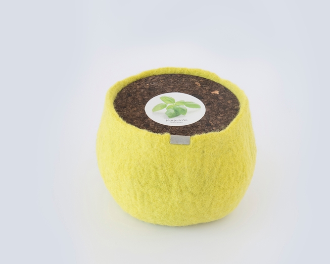 Um pote 100% lã para cultivar manjericão