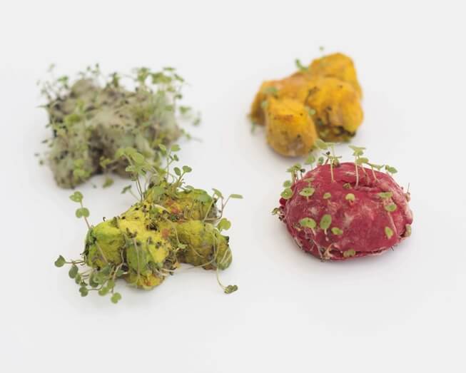 Plant this little butterfly to grow herbs