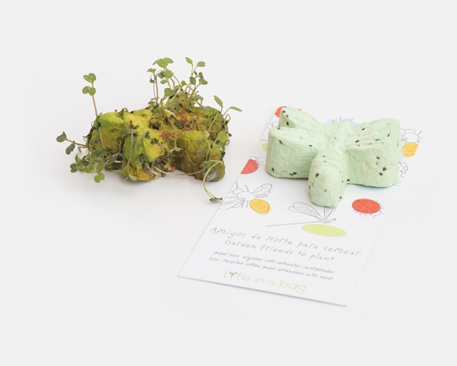 Plant this little dragonfly  to grow herbs