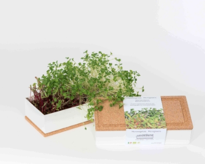 Image de la catégorie Grow Box Microgreens