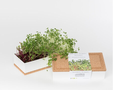 Imagem de categoria Grow Box