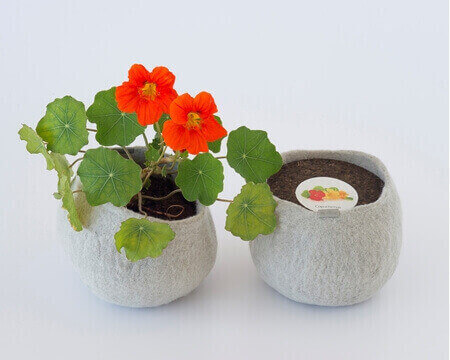 Picture for category Wool Pot