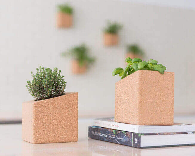 Grown herbs in the 2 cork pots