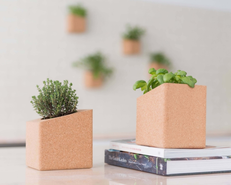 Grown herbs in the 2 cork pots