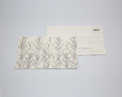 Um postal para semear