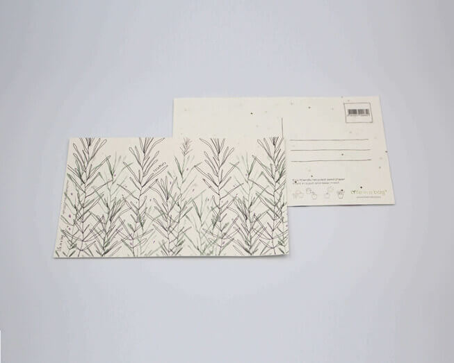 Um postal para semear