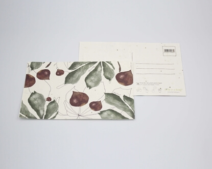 Um postal para semear