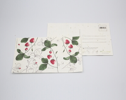 Um postal para semear