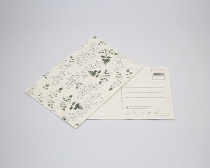 Um postal para semear