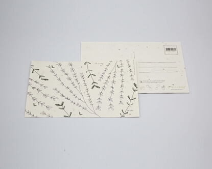 Um postal para semear