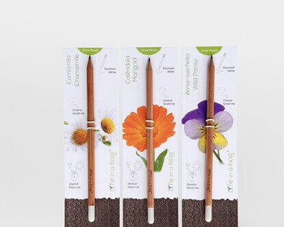 Foto de Conjunto 3 Grow Pencil Flores