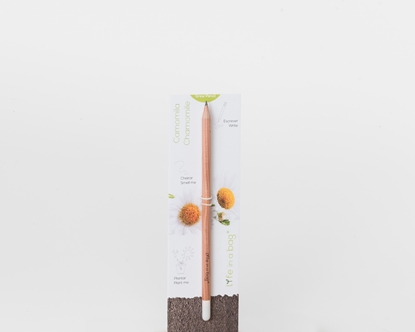 Foto de Grow Pencil Manzanilla