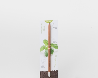 Foto de Grow Pencil Albahaca