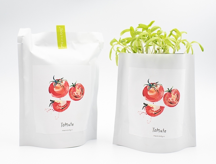 Grow bag para semear tomate coração de boi
