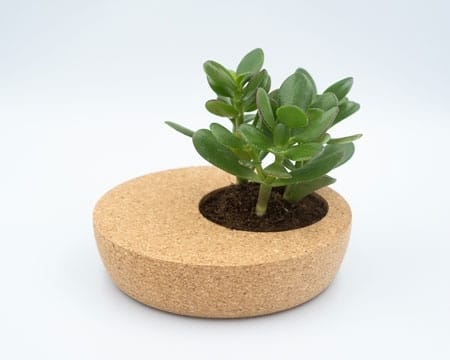 Picture for category Cork Planter