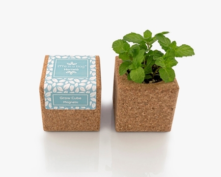 Picture for category Grow Cube