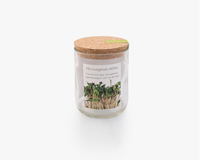 Cultivar microvegetais de alfafa sem ter de regar