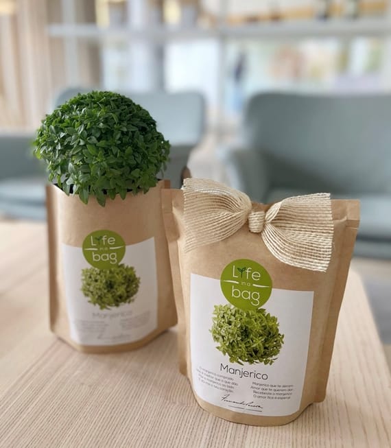 Grow Bag Manjerico
