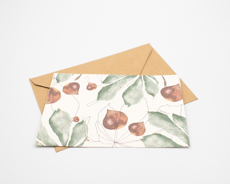 Postal para plantar - castanhas