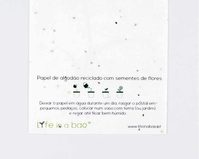 Verso do postal com sementes - boa sorte