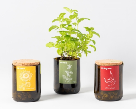 Picture for category Bottle Garden