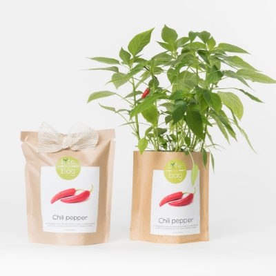 Image de la catégorie Grow Bag