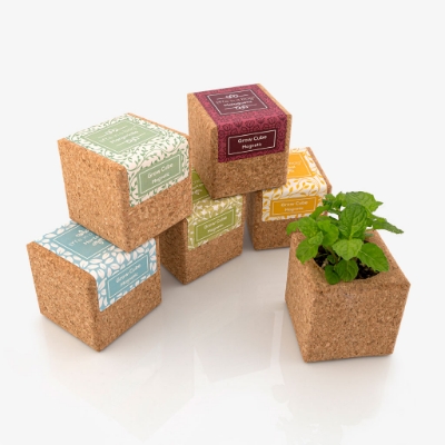 Image de la catégorie Grow Cube