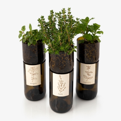 Image de la catégorie Grow Bottle Herbes