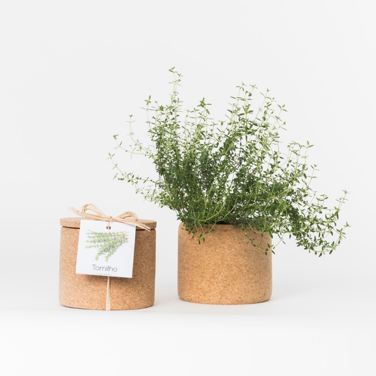 Grow your thyme in this cork pot