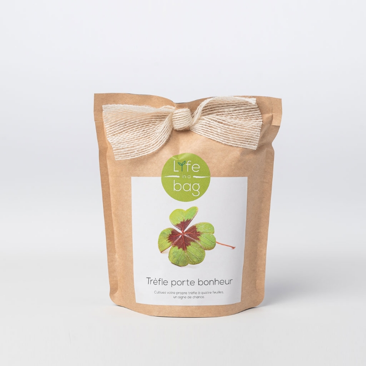 Grow Bag Trevo da Sorte - Good luck clover