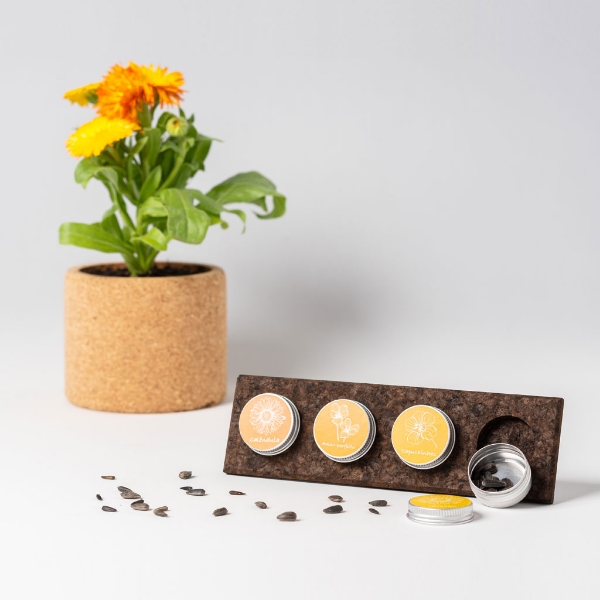 Seeds Collection - Flores