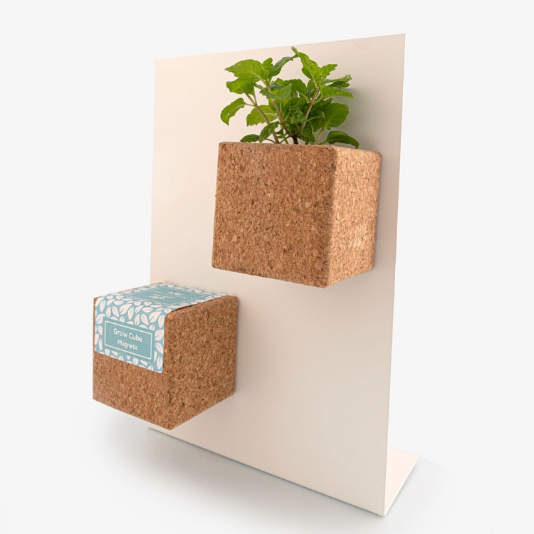 Cork cube with magnet to grow mint