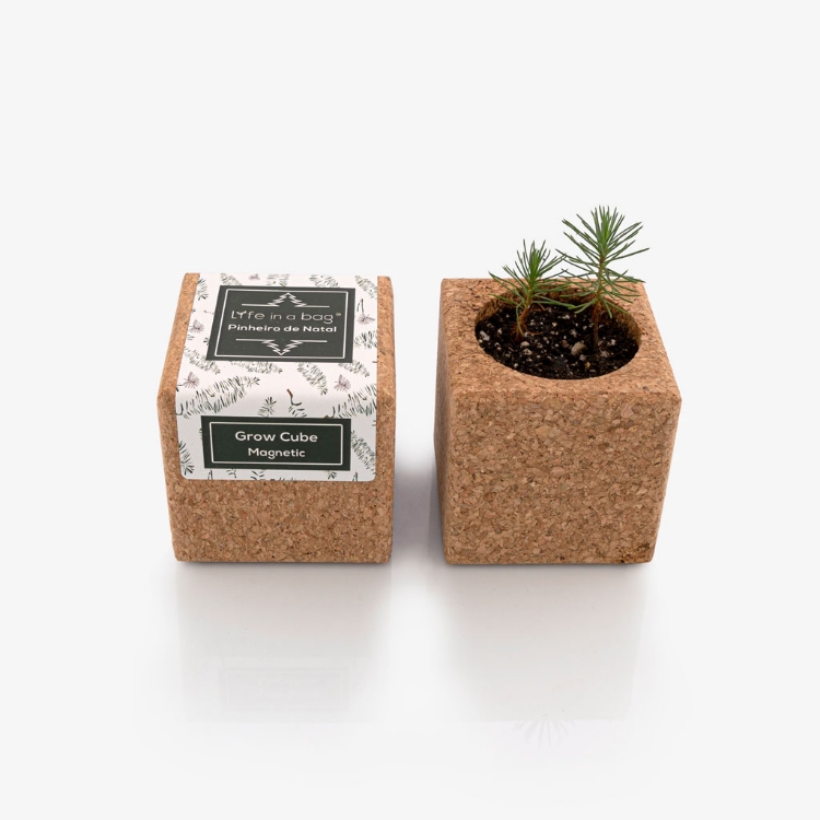 Cubo em cortiça para fazer crescer um pinheiro de Natal - Grow your own Christmas tree in a magnet cork cube